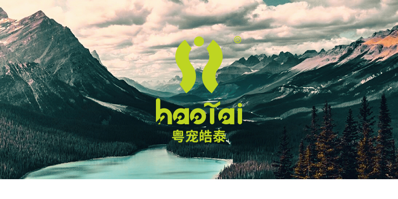 關于皓泰